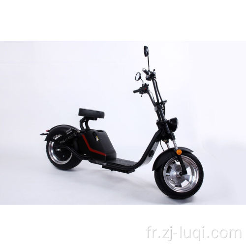 Scooter électrique lion adulte de gros pneu